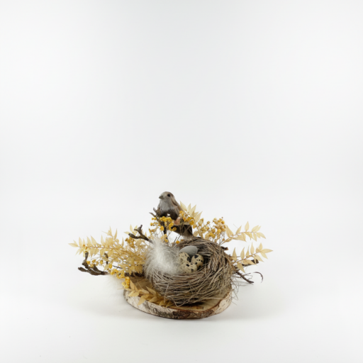 Handgemaakt Vogelnestje op Houten Basis