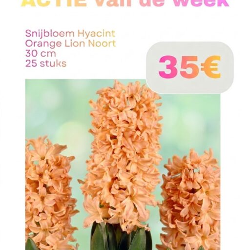 Actie van de week