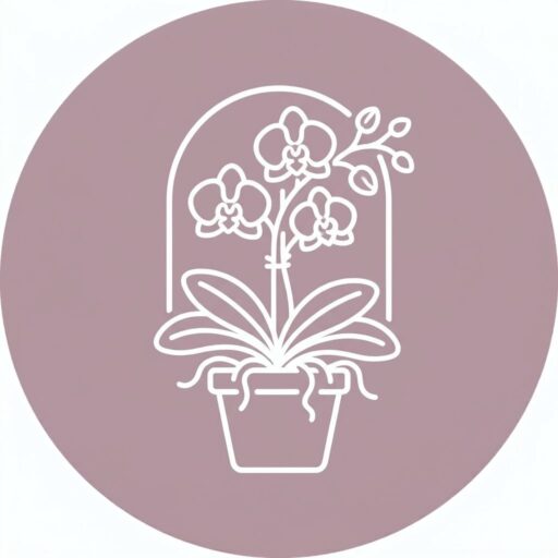 Orchideën